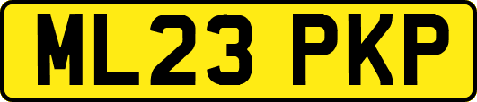ML23PKP