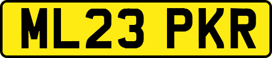 ML23PKR
