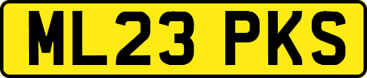 ML23PKS