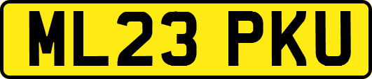 ML23PKU