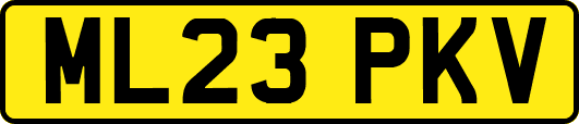 ML23PKV