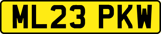 ML23PKW