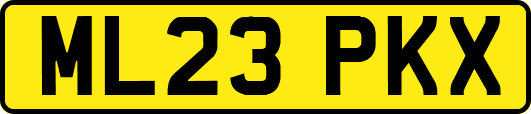 ML23PKX