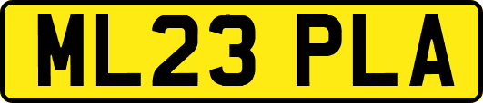 ML23PLA
