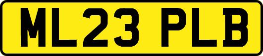 ML23PLB
