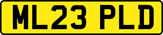 ML23PLD