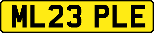 ML23PLE