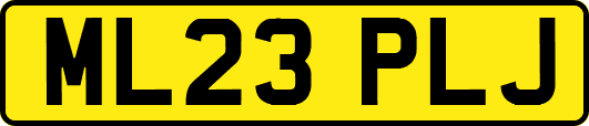 ML23PLJ