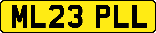 ML23PLL