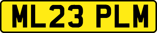 ML23PLM