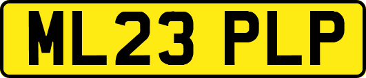 ML23PLP