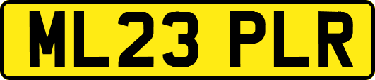 ML23PLR