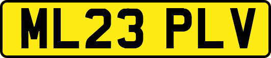 ML23PLV