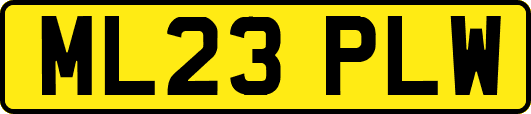 ML23PLW
