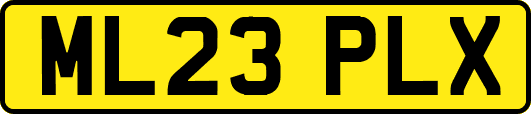 ML23PLX