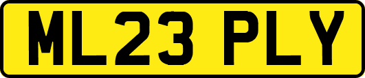 ML23PLY