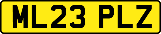 ML23PLZ