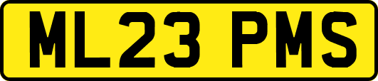 ML23PMS