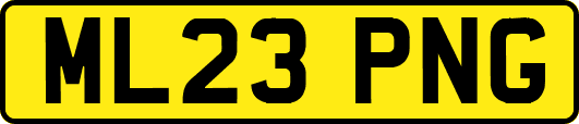 ML23PNG