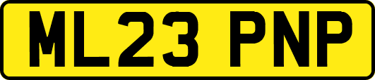 ML23PNP