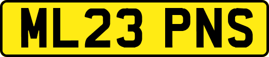 ML23PNS