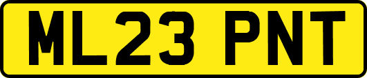 ML23PNT
