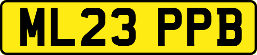 ML23PPB
