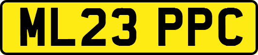 ML23PPC