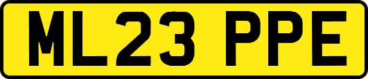ML23PPE