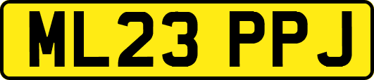 ML23PPJ