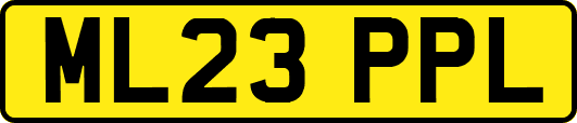 ML23PPL