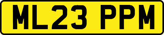 ML23PPM