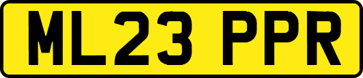 ML23PPR