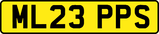 ML23PPS