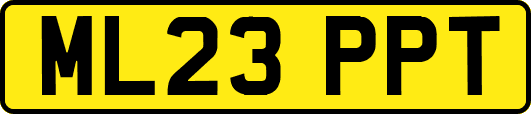 ML23PPT