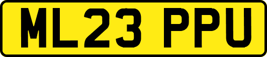 ML23PPU