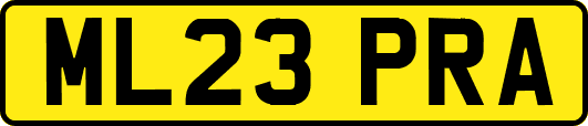 ML23PRA
