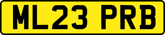 ML23PRB
