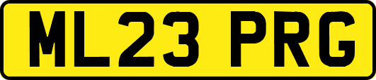 ML23PRG