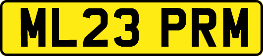 ML23PRM