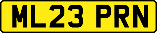 ML23PRN