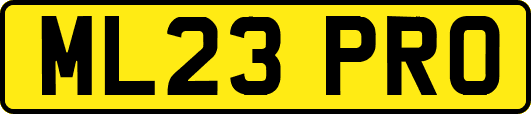 ML23PRO
