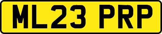 ML23PRP