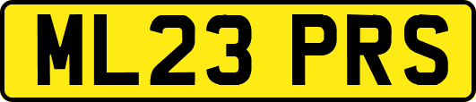 ML23PRS