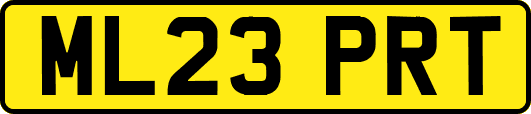 ML23PRT