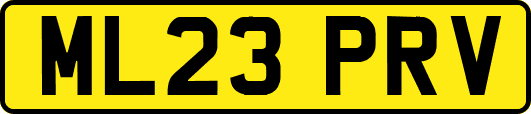 ML23PRV