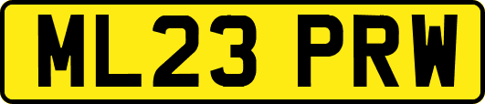 ML23PRW