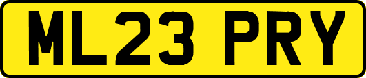 ML23PRY