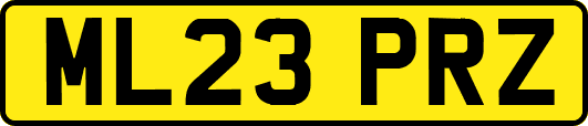 ML23PRZ