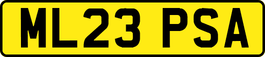 ML23PSA